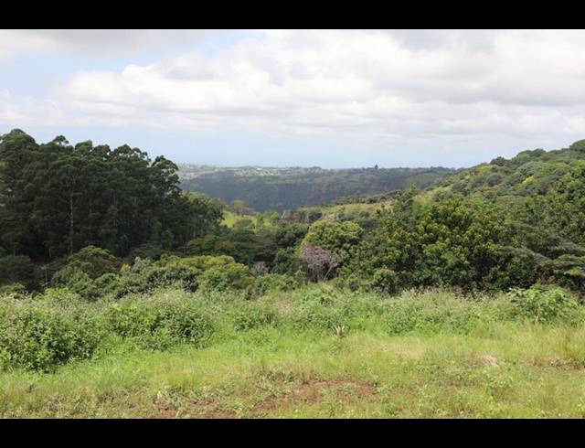 3 BEDROOM HOUSE FOR SALE IN FORREST HILL